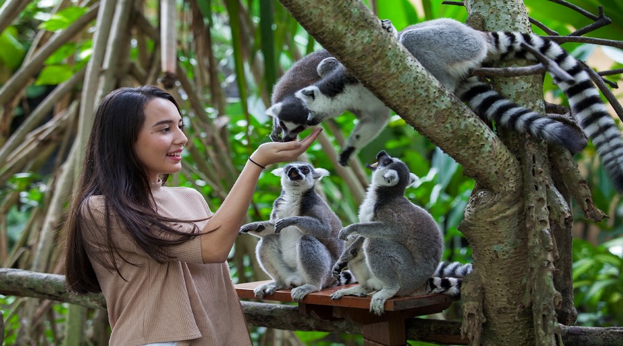 5 Zoos that Must be Visited are for Holidays